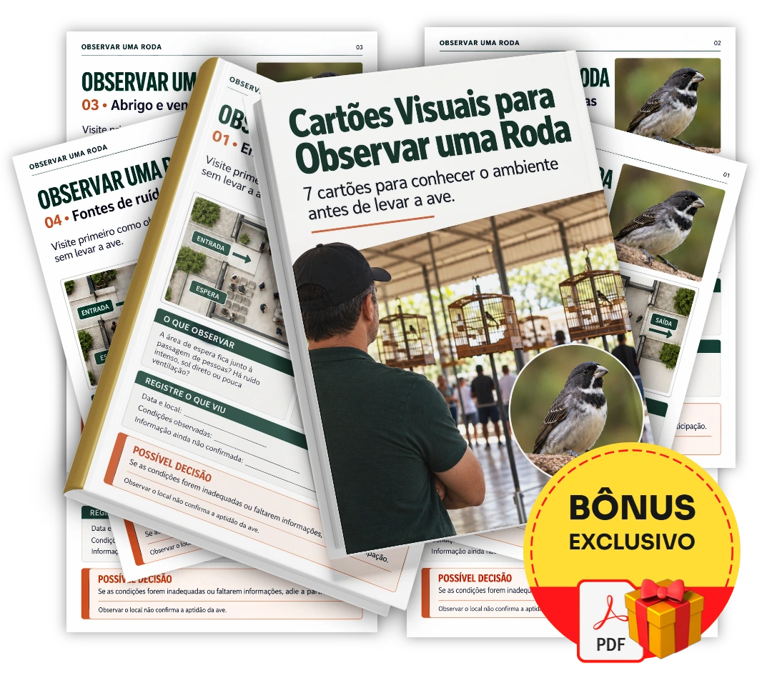 Cartões Visuais para Observar uma Roda